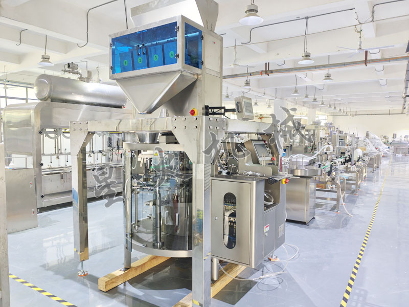 成都自動包裝機(jī)-給袋式顆粒包裝機(jī)實拍圖