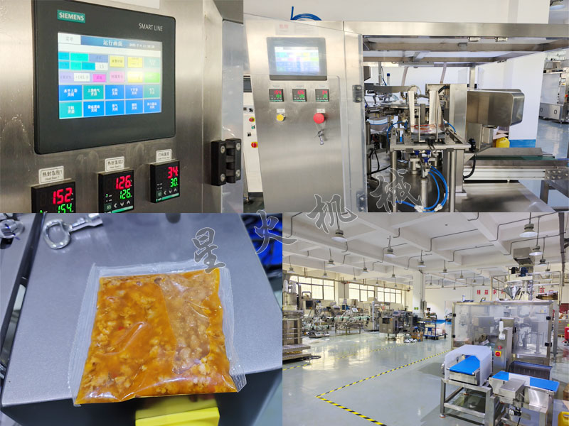 成都給袋式肉片包裝機細節(jié)圖