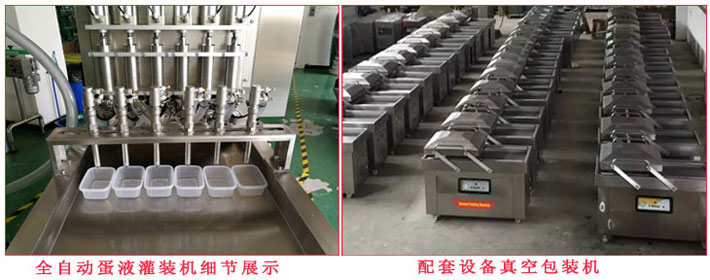 全自動蛋液灌裝機(jī),雞蛋干蛋液灌裝成型機(jī)